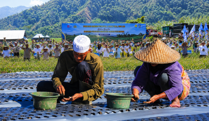 Gerakan penanaman dan panen raya bawang putih di Sembalun Lombok Timur untuk swasembada nasional