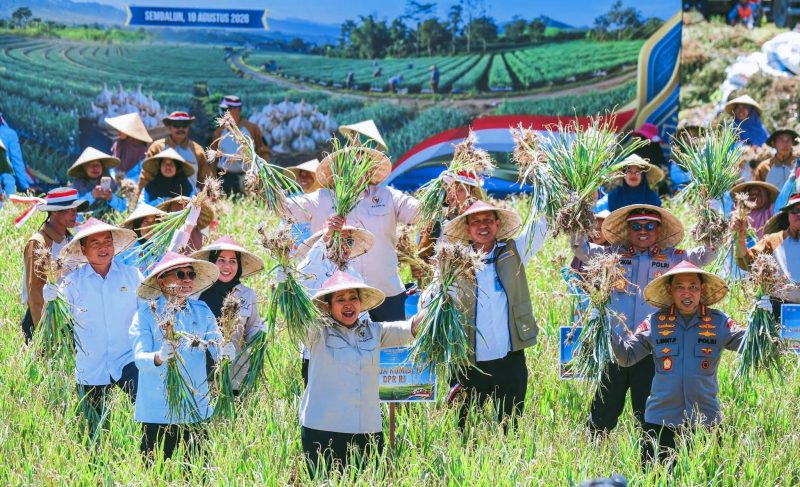 Panen Raya Bawang Putih di Sembalun, Lombok Timur, NTB, Menjadi Bagian Dari Gerakan Memperkuat Produksi Dalam Negeri dan Mempercepat Swasembada Bawang Putih Nasional.