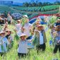 Panen Raya Bawang Putih di Sembalun, Lombok Timur, NTB, Menjadi Bagian Dari Gerakan Memperkuat Produksi Dalam Negeri dan Mempercepat Swasembada Bawang Putih Nasional.