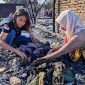 Terlihat Warga Memeriksa Dan Mengecek Sisa-sisa Barang Yang Terbakar di Kawasan Rumah Adat Sade, Lombok Tengah, Pasca-Kebakaran.