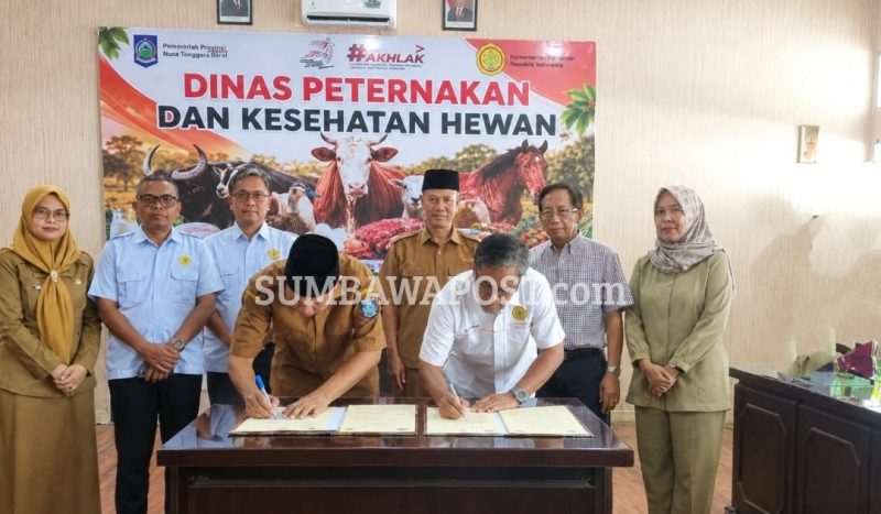 Kepala Dinas Peternakan dan Kesehatan Hewan NTB Muhamad Riadi Memimpin Penandatanganan Kerja Sama Pemprov NTB dan Universitas Mataram Terkait Pendampingan Desa Berdaya subsektor Peternakan.