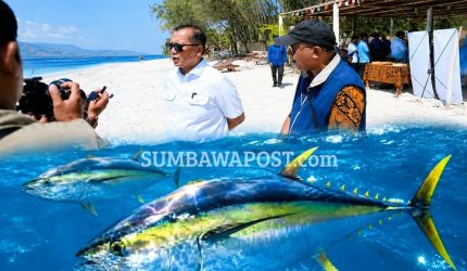 Ekspor tuna HPF NTB ke Amerika Serikat mencapai 47 kontainer dan menyerap 80 tenaga kerja lokal.