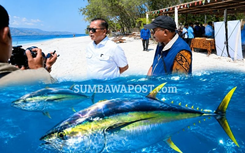 Aktivitas di kawasan Pesisir NTB Yang Menjadi Bagian Dari Pengembangan Komoditas Tuna Untuk Pasar Ekspor Amerika Serikat.