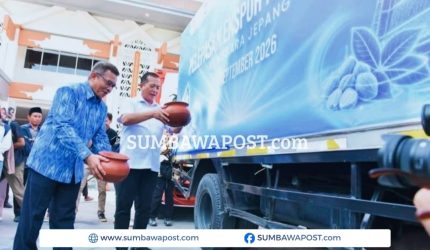 Kemiri NTB tembus pasar Jepang dan Arab Saudi, Pemprov NTB genjot hilirisasi.