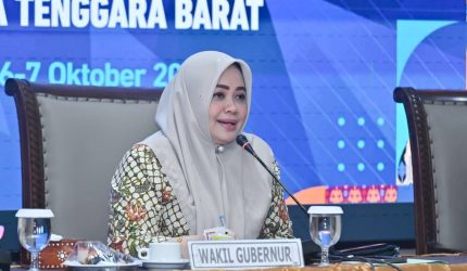 Umi Dinda saat workshop penerapan SPM terintegrasi melalui Posyandu di NTB