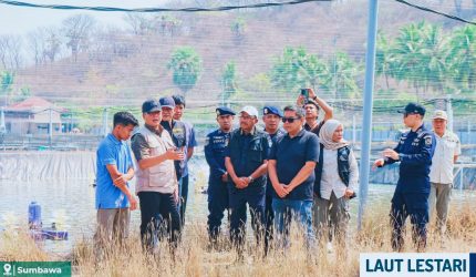 Gubernur NTB Lalu Muhamad Iqbal meninjau tambak udang di Pulau Kaung Sumbawa dan menyoroti IPAL serta perizinan.