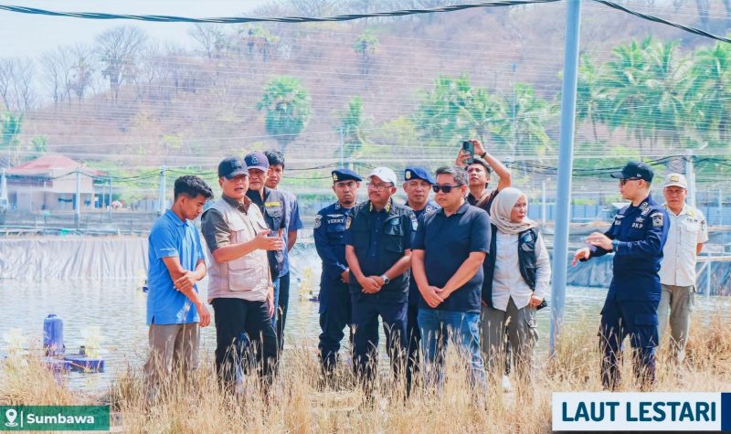 Gubernur NTB Dr Lalu Muhamad Iqbal Saat Meninjau Tambak Undang di Wilayah Pulau Kaung, Kabupaten Sumbawa, dan Menyoroti Kondisi IPAL Serta Kendala Perizinan.