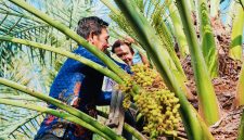 BRIDA NTB Bersama Tim Pemerintah Kabupaten Murung Raya Menjajaki Pengembangan Kurma Tropis Melalui Kajian Kesesuaian Lahan, Budidaya, dan Pengembangan Bibit Unggul.